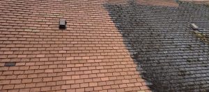 Roof Cleaning