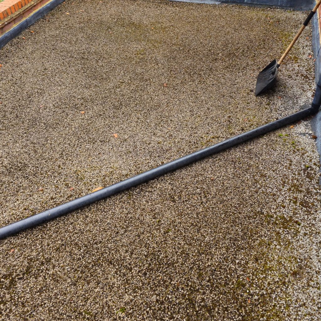 Moss removal