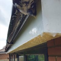 Exterior Cleaning Services, Roof Cleaning, Driveway Cleaning, Patio and Decking Cleaning, Gutter, Facia and Soffit Cleaning, Render, Facade and Wall Cleaning,  Conservatory Cleaning, Window Frame and Window Cleaning, Solar Panel Cleaning, Tennis Court Cleaning